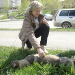 Ветеринар Оксана Чулик удивлена, что труп собаки не убрали — он вот-вот начнет разлагаться, а это опасно