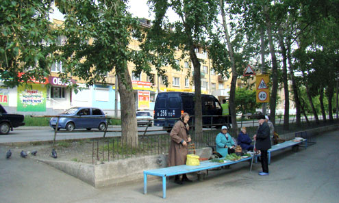 На мини-рынке бабушки старались не садиться под опасный тополь (крайний слева) 