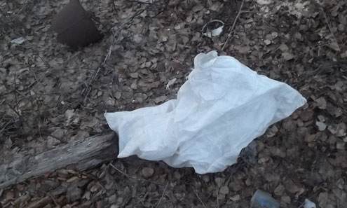 В Дегтярске найден труп новорожденного ребенка в мешке