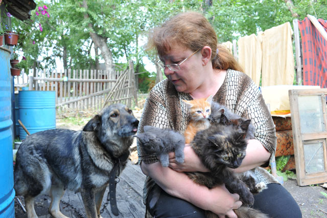 Светлана, работая сторожем в коллективном саду, подбирала кошек, которых по осени «забывали» на участках садоводы.